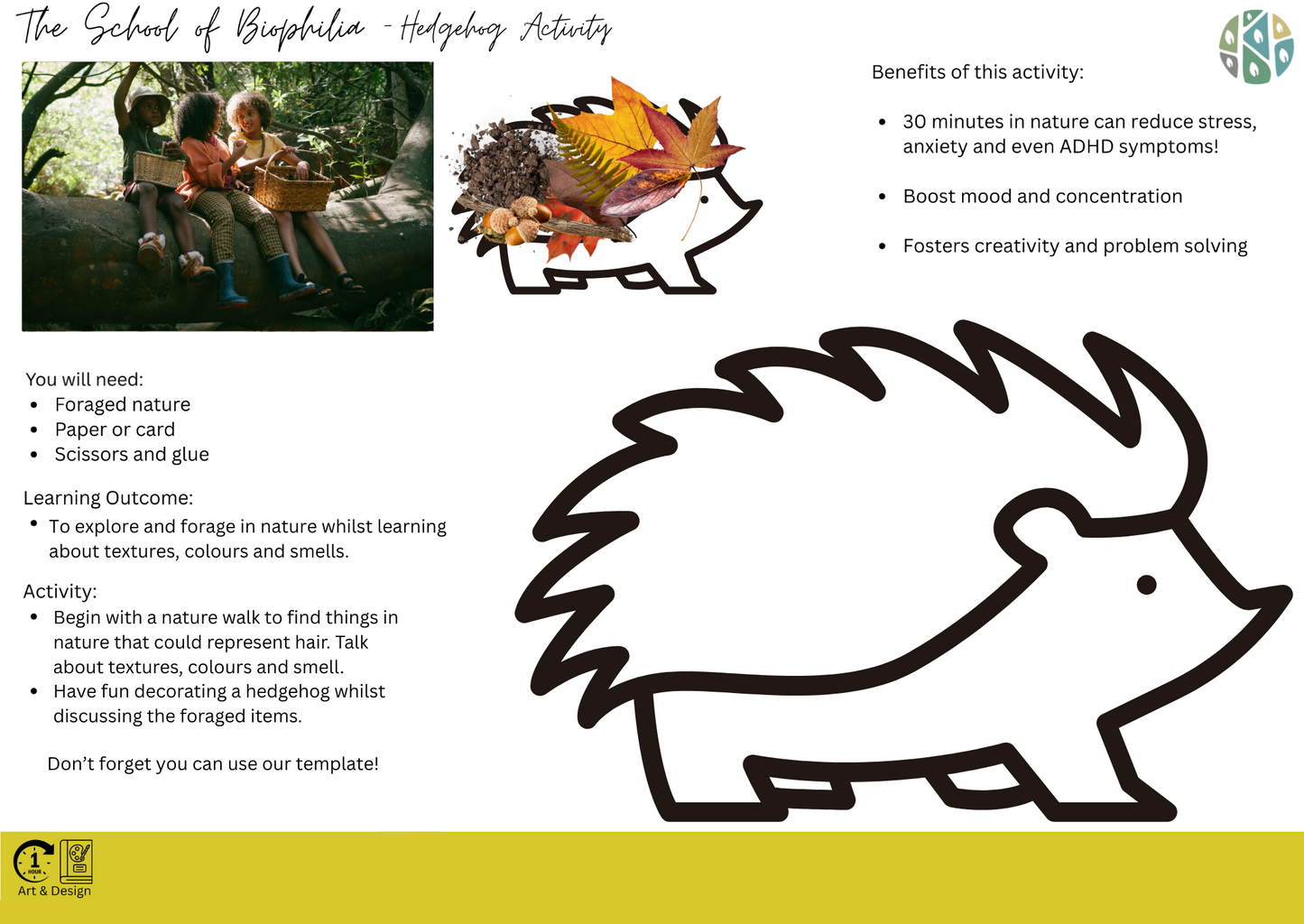 Hedgehog Activity