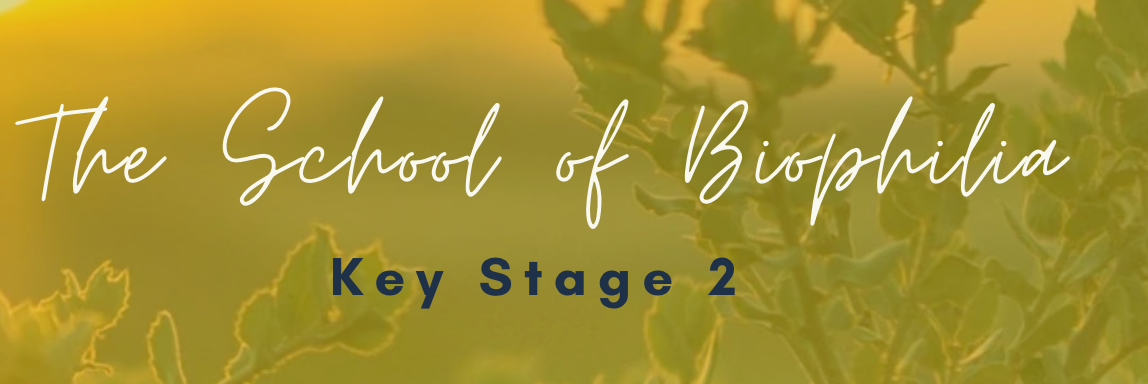 Key Stage 2 Teaching Resources