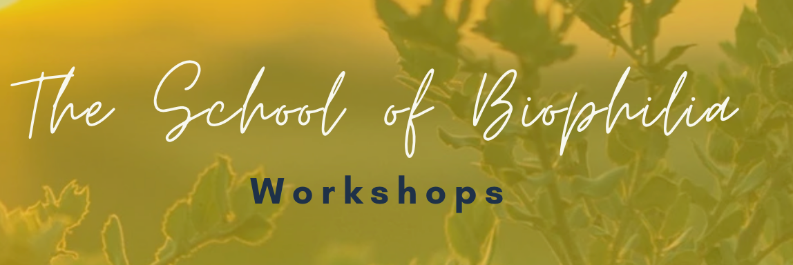 Workshops