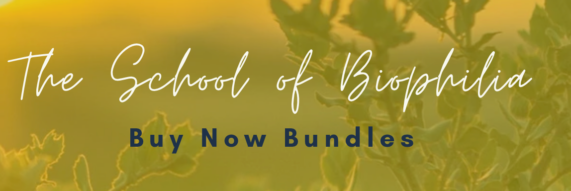 Buy Now Bundles