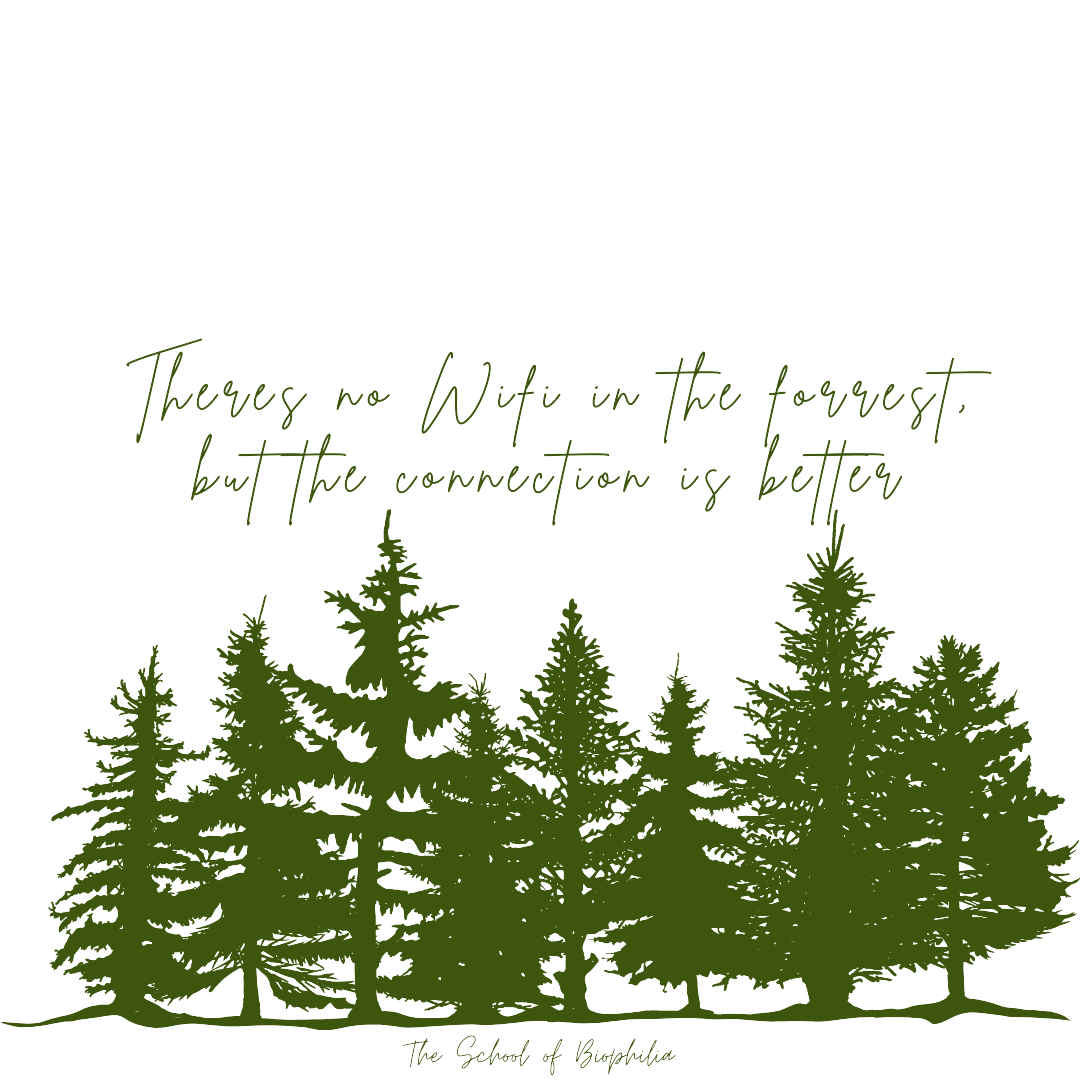 Theres no WiFi in the forrest but the connection is better