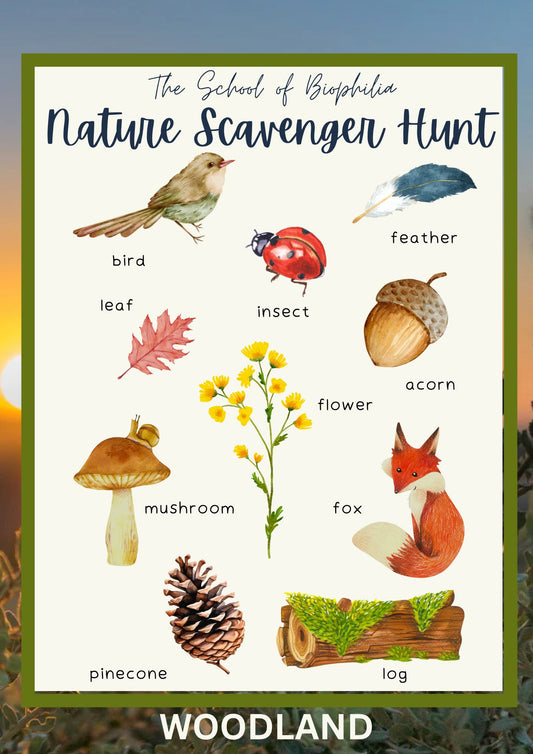 Nature Scavenger hunt (3 pack)