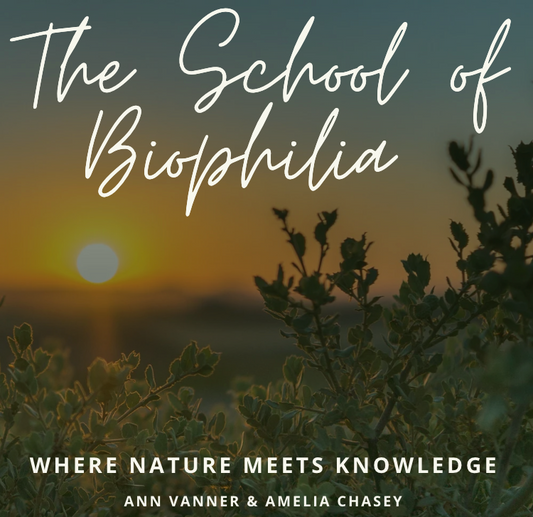 The School of Biophilia Playbook